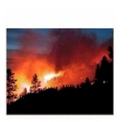 Emergency Forest Fire Alarm